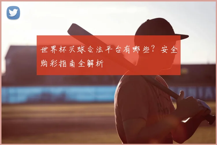 世界杯买球合法平台有哪些？安全购彩指南全解析
