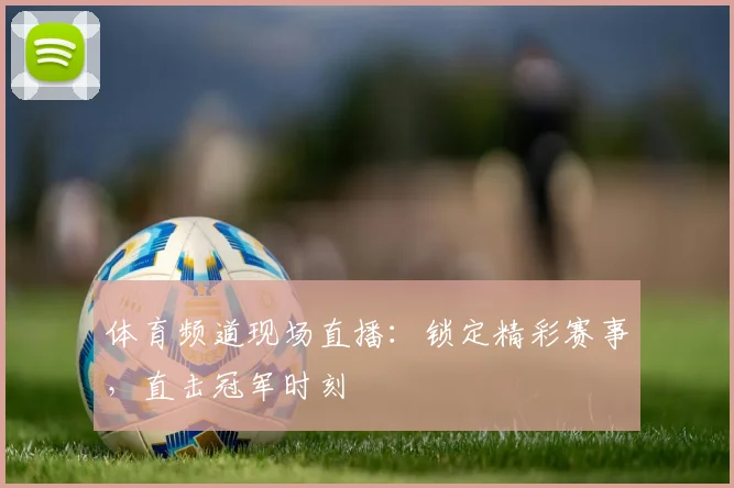 体育频道现场直播：锁定精彩赛事，直击冠军时刻
