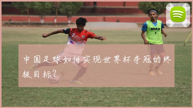 中国足球如何实现世界杯夺冠的终极目标？